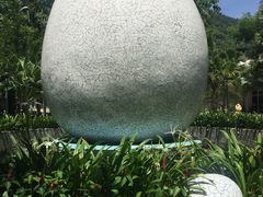 -100蛋泥浆浴