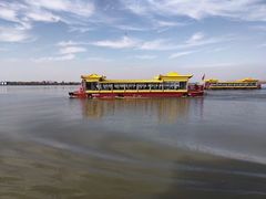 -溱湖国家湿地公园