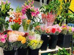 -七鲜超市(华宇时尚购物中心店)