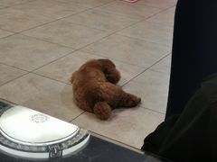 -食锦斋(塔头店)