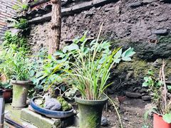 -恺庐茶园(宽窄巷子景区店)