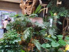-云境生态园(红谷滩店)