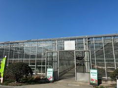 -苏州太湖西山岛开心农场