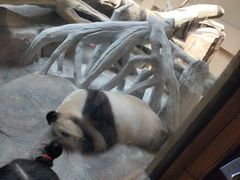 -宁波野生动物园