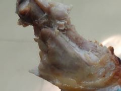 -大益烤鸡