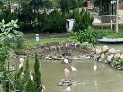 -石排湾郊野公园