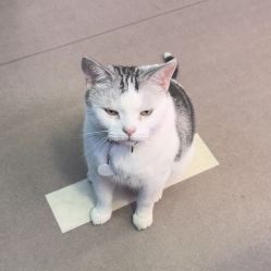 -CICI街舞专业培训