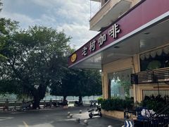 -OLD TREE老树咖啡·西餐厅(台山人工湖店)