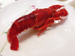 -新日月育才大酒店-中餐厅(环城北路店)