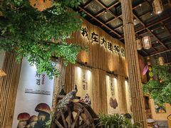 -大理董·董家小厨野生菌火锅(古城旗舰店)