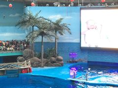 -海合安成都极地海洋公园