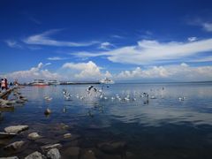 -青海湖国家重点风景名胜区