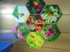 -上海昆虫博物馆