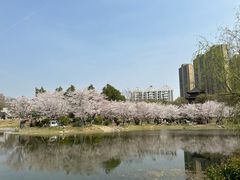 -堤角公园