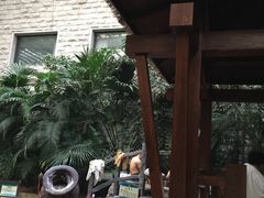 -龙达温泉生态城