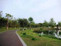 -眉山湿地公园(东坡区)