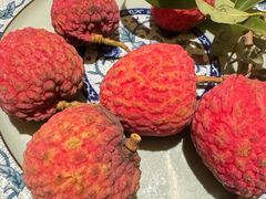 -生态苑农庄(十里画廊遇龙河店)