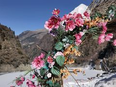 -叠溪松坪沟景区