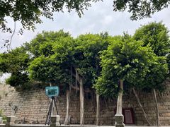 -东山风动石景区