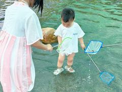 -海上田园