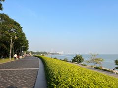 -深圳湾公园(南山区)