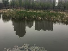 -前关湿地公园