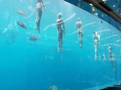 -瑞德姆美人鱼海底演艺主题餐厅(亚龙湾店)
