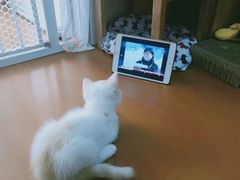 -泰康拜博口腔(凯迪大厦店)