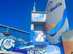 -海合安青岛极地海洋公园