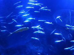 -遇见长安(兰州中心店)