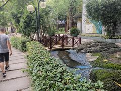 -广东仲元中学