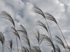 -山王坪喀斯特国家生态公园