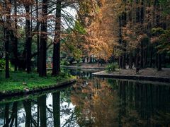 -上海共青森林公园