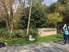 -西湖风景区-江洋畈生态公园