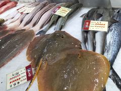 -胖大嫂渔家排档·全海景餐厅(渔村店)