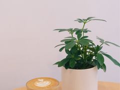-Onirii Coffee(长乐路店)