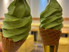 -王守财小山園