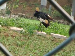 -石家庄市动物园