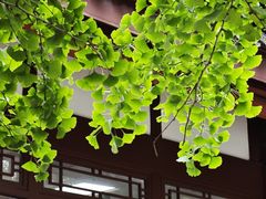 -成都杜甫草堂博物馆