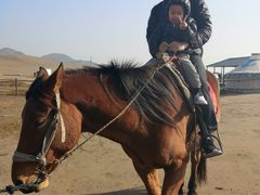 -塞罕坝国家级自然保护区