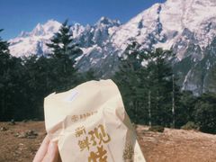 -嘉华鲜花饼(束河店)