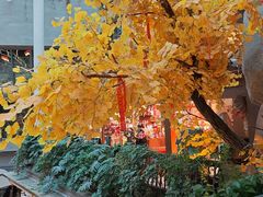 -阿大排档(长春这有山店)