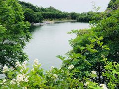 -秦岭终南山世界地质公园翠华山景区
