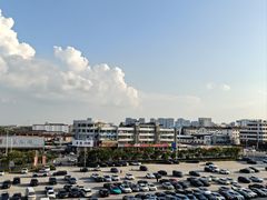 -中国丹阳眼镜城
