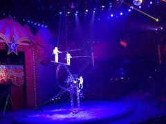 -珠海横琴长隆《卡卡虎奇遇记》