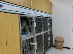 -美联众合动物医院·24h京西诊疗中心