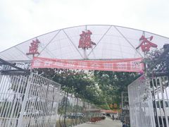 -金谷域澳洲庄园