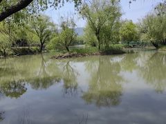 -长兴太湖图影湿地文化园