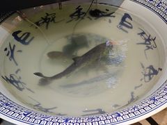 -南京金牛湖巨碗鱼头