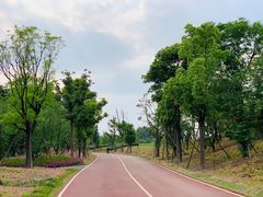 -白鹭湾湿地公园